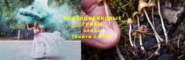 марки nbome Гусь-Хрустальный